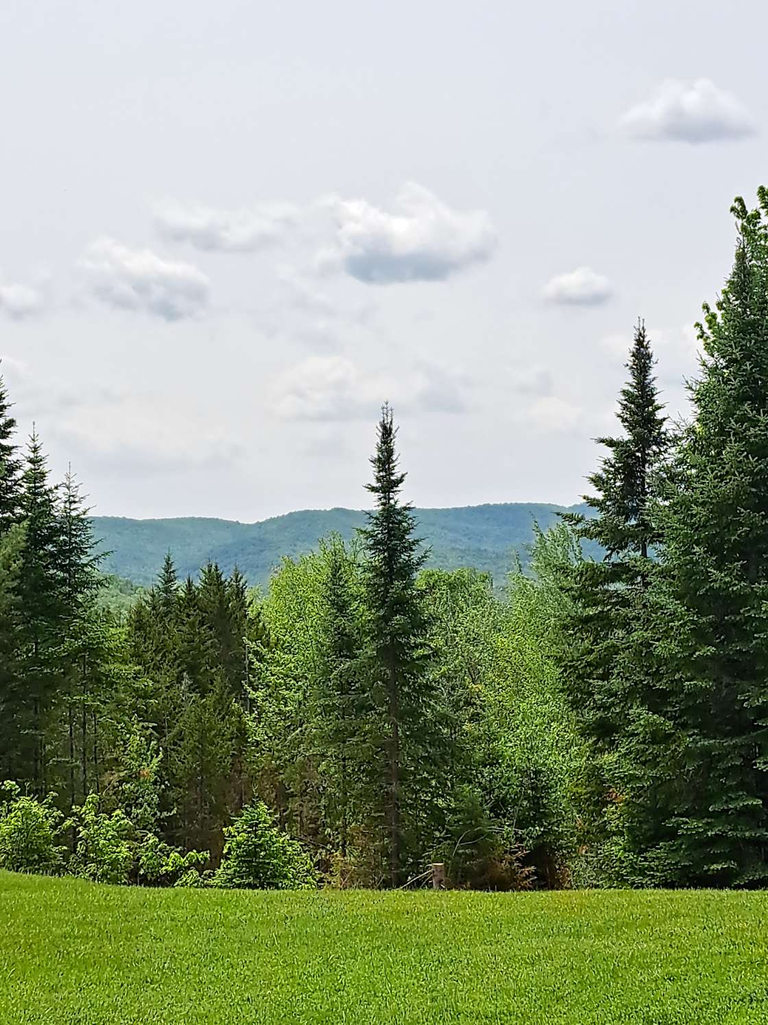 Sparrows Nest Campground Hipcamp in West Topsham, Vermont