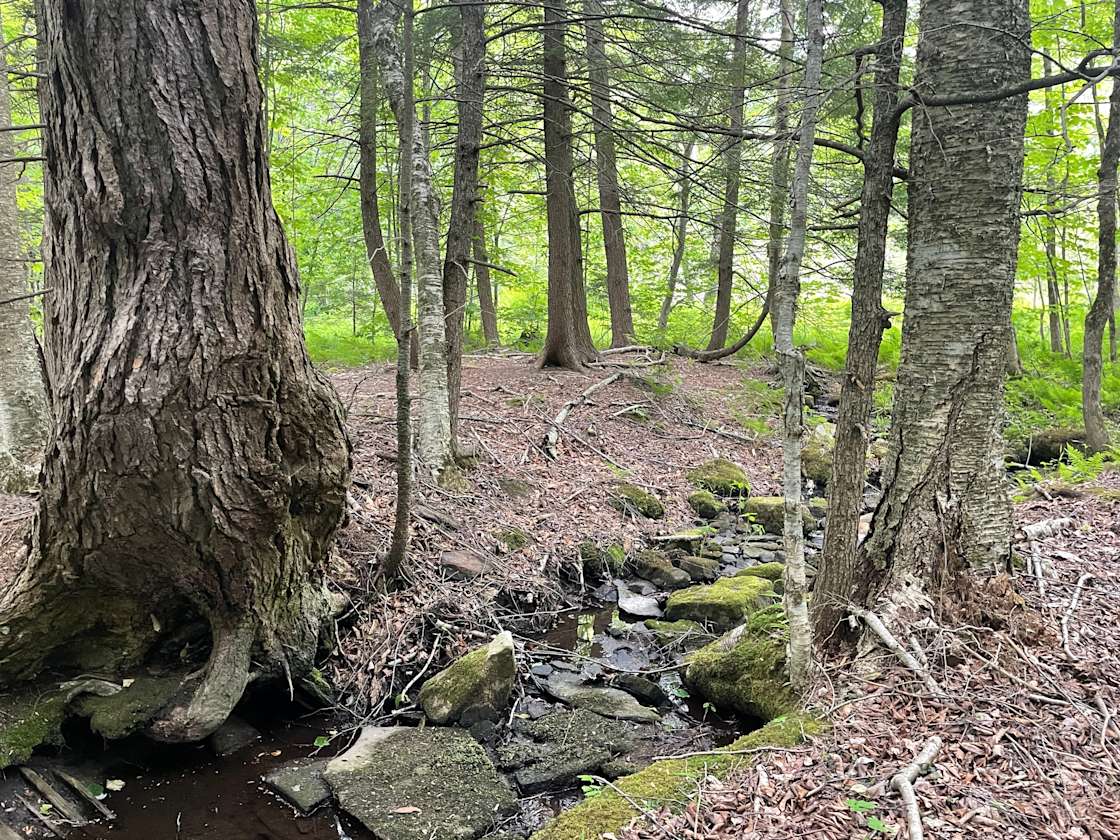 Mount Airy Hill Hipcamp in Becket, Massachusetts