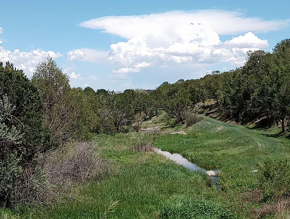 Padilla Ranch - Hipcamp in Tajique, New Mexico