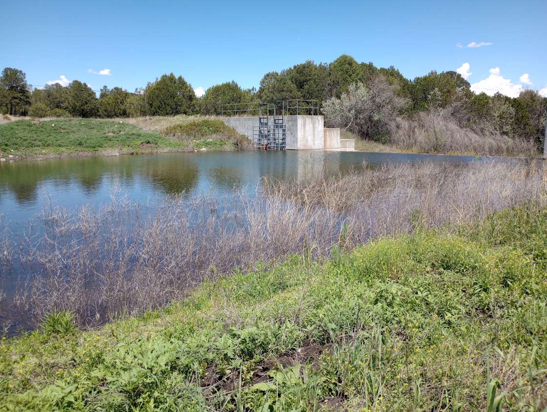 Padilla Ranch Hipcamp in Tajique, New Mexico