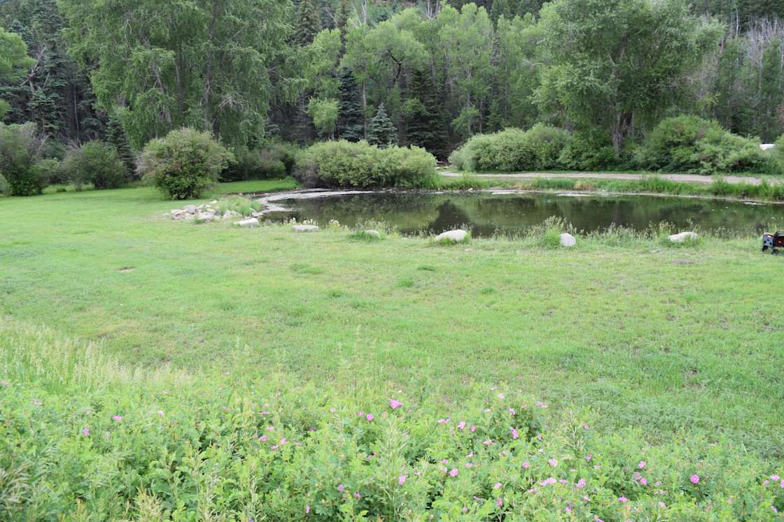 Sipapu Ski & Summer Resort Hipcamp in Vadito, New Mexico