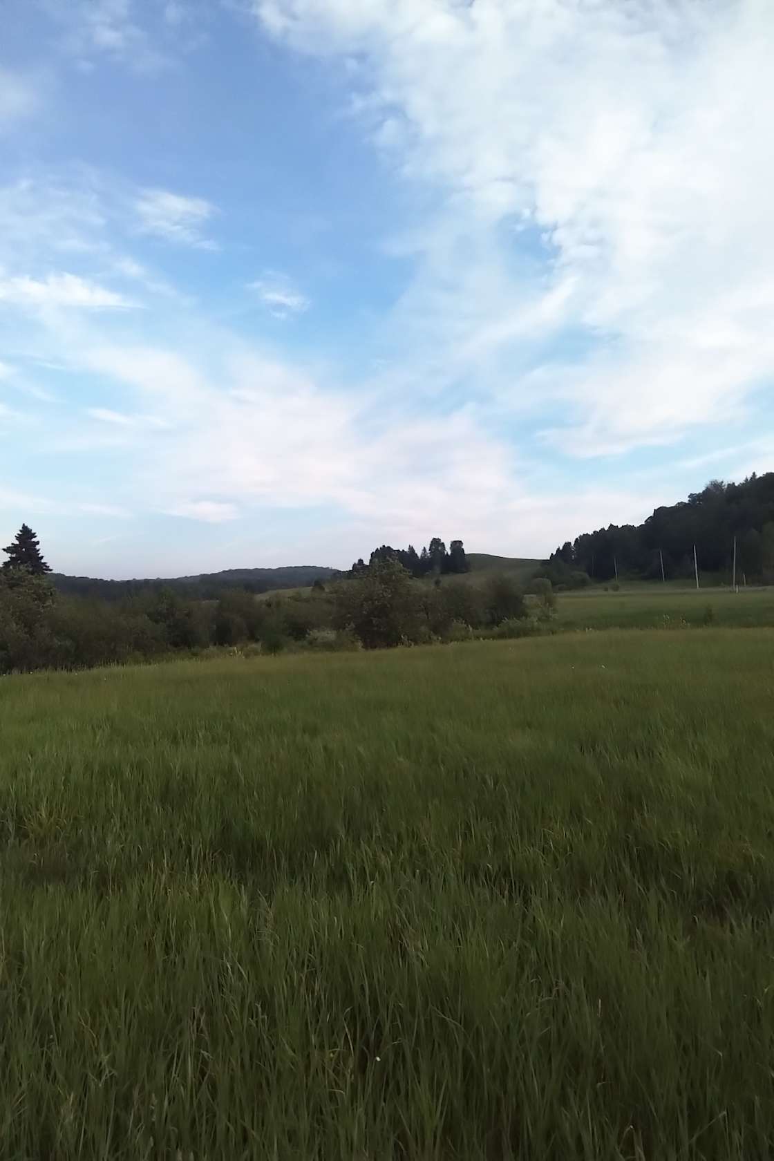 Leeburn farm land Hipcamp in Thessalon, Ontario
