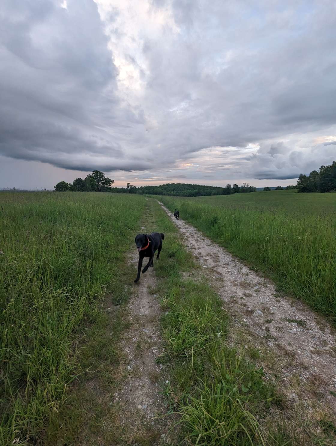 Berry Fruit Farm Hipcamp in Livermore, Maine