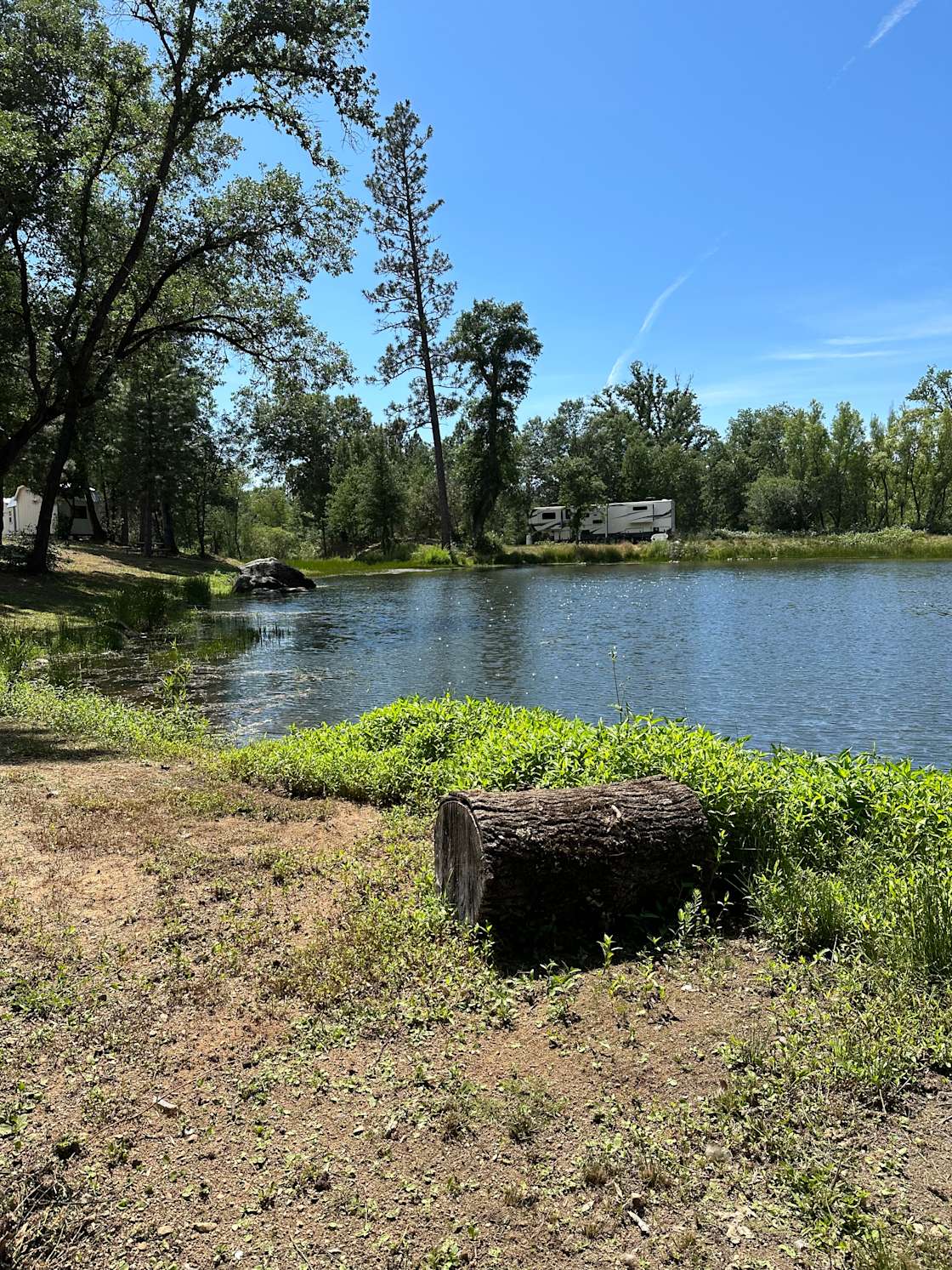 Oregon House Falls Hipcamp in Dobbins, California