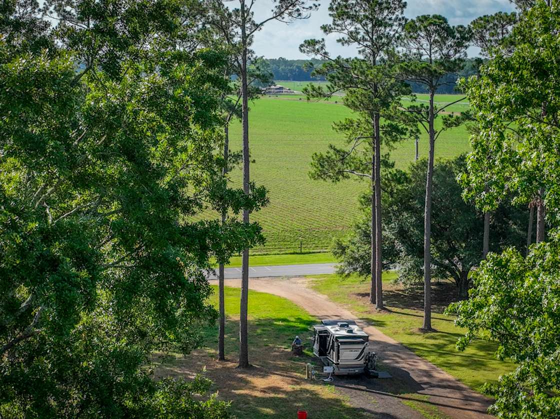 Wayside Park Hipcamp in Mc David, Florida