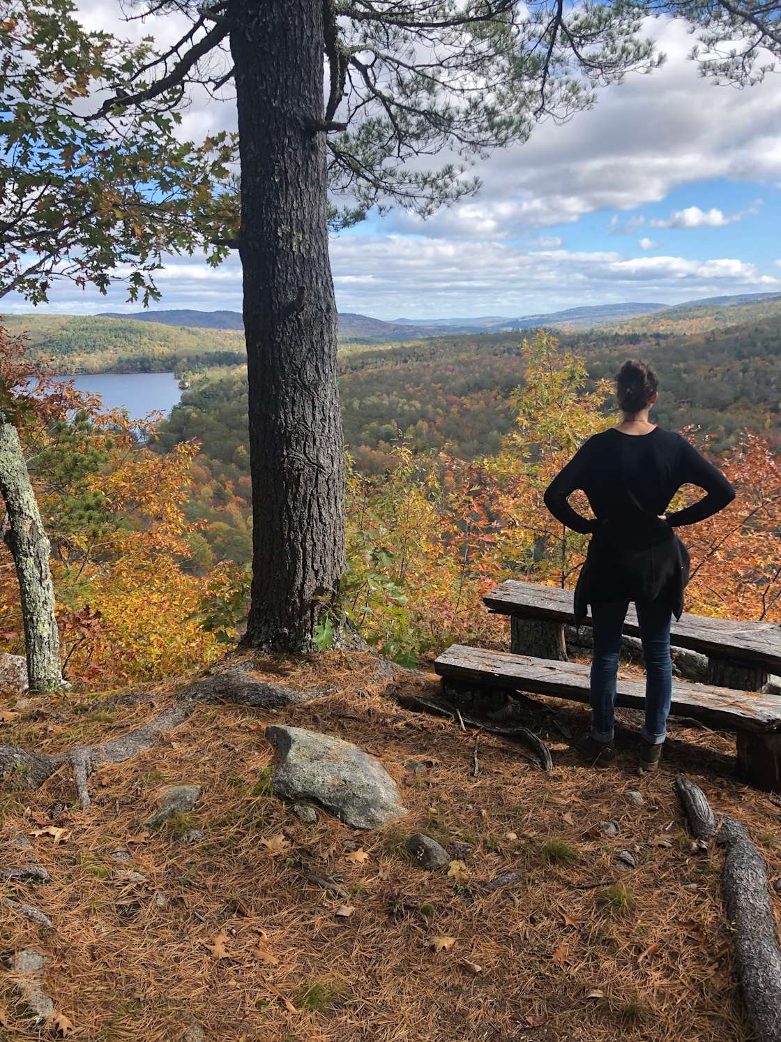 In The Trees Hipcamp in Stoneham, Maine