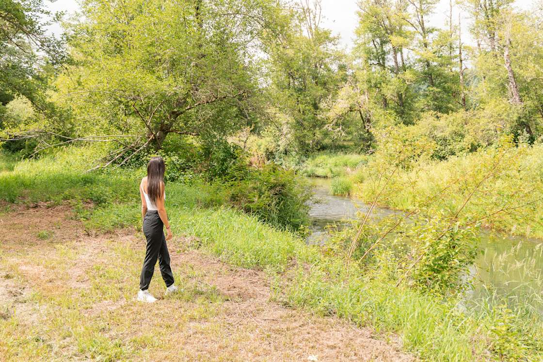 Skookumchuck Oasis Hipcamp in Bucoda, Washington