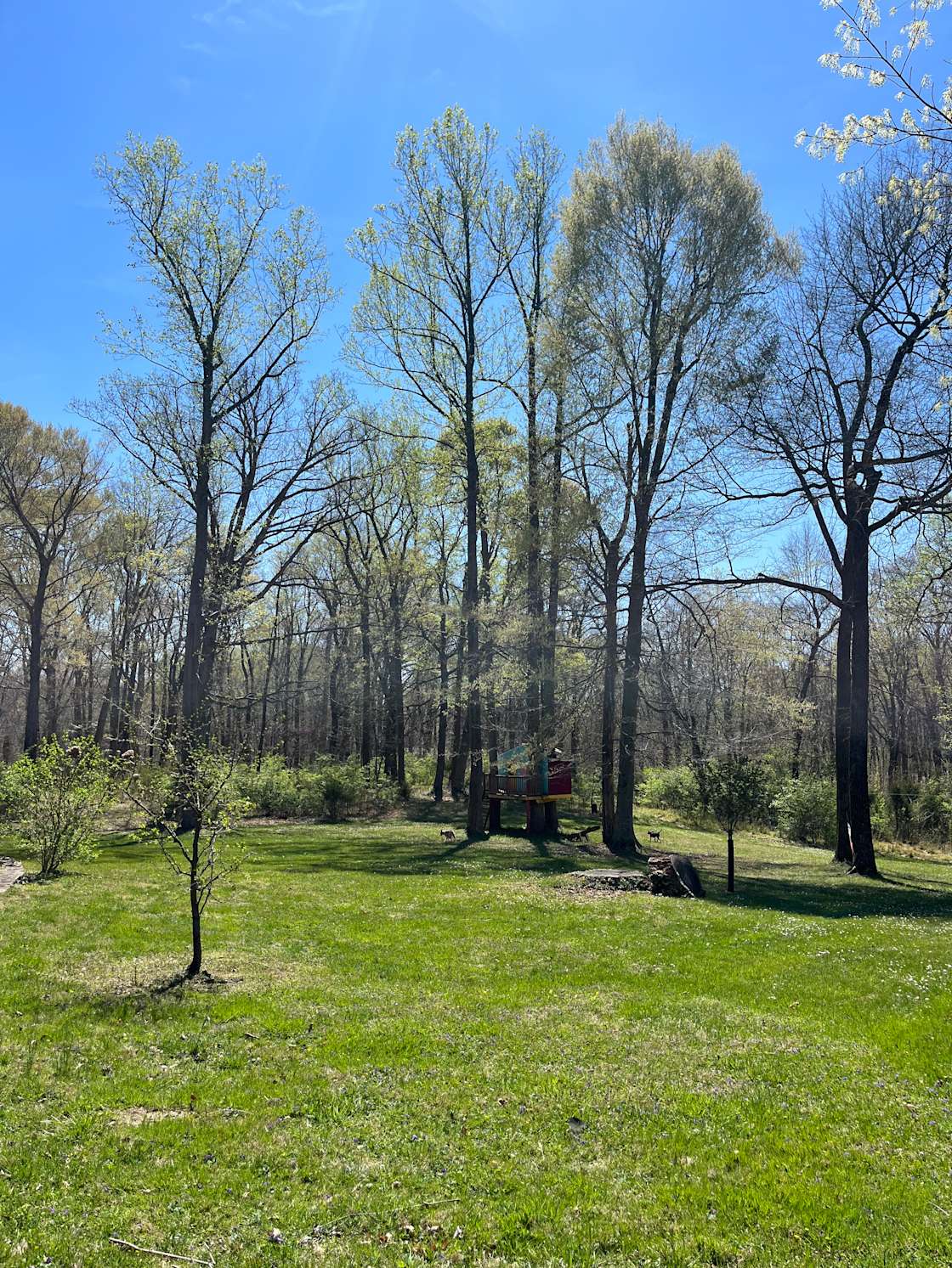 Blackberry Farm Hipcamp in Louisville, Kentucky