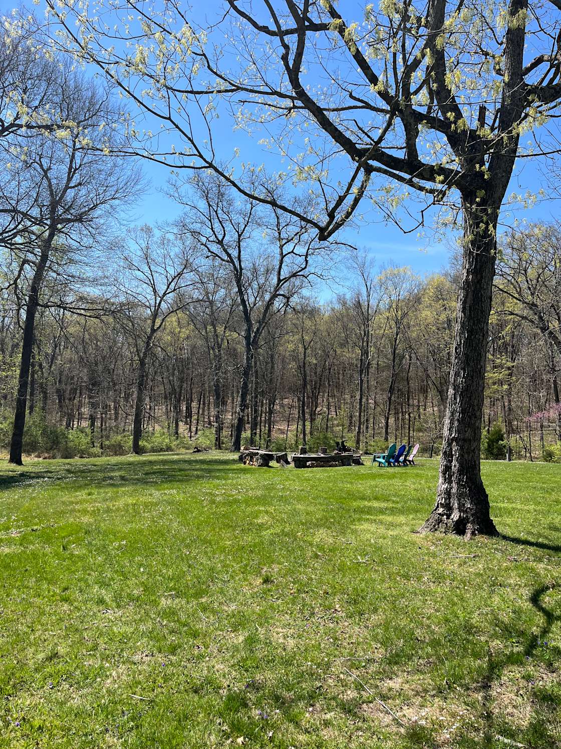 Blackberry Farm Hipcamp in Louisville, Kentucky