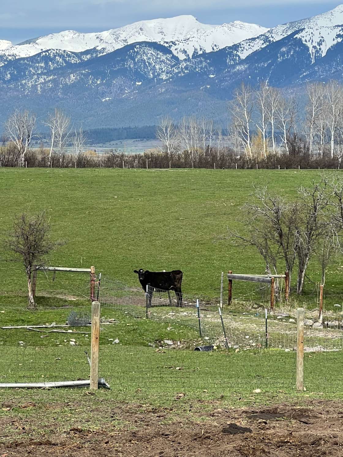 Moran Ranch Hipcamp in Saint Ignatius, Montana