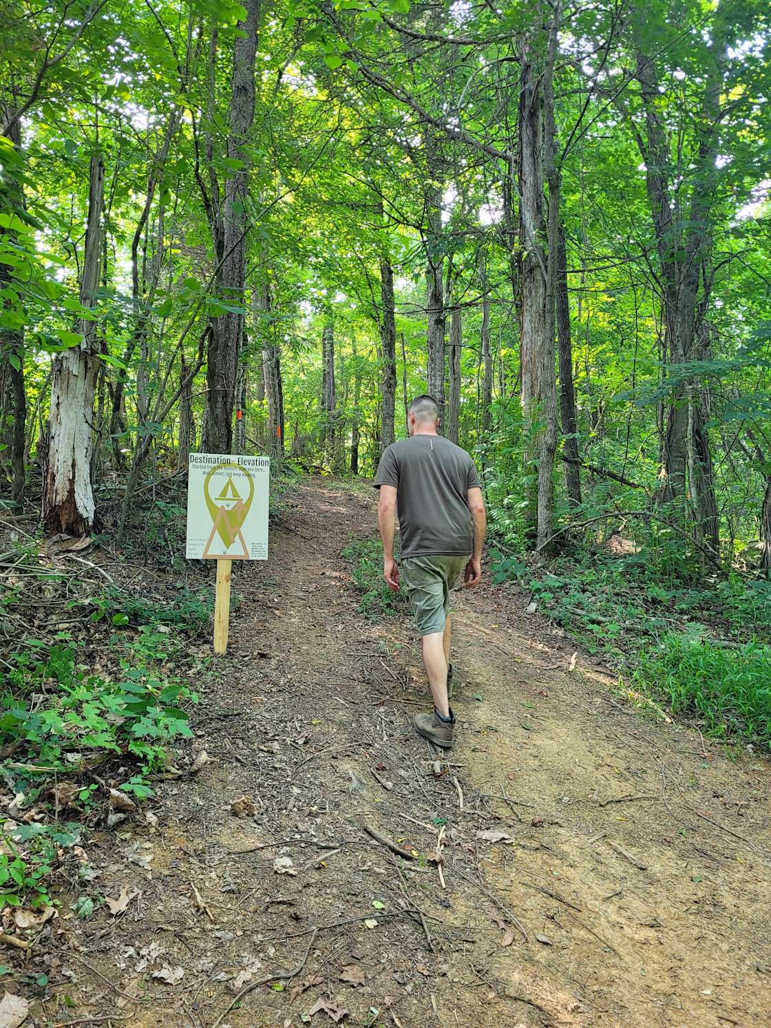 The Farmers Forest Hipcamp in Plainview, Tennessee