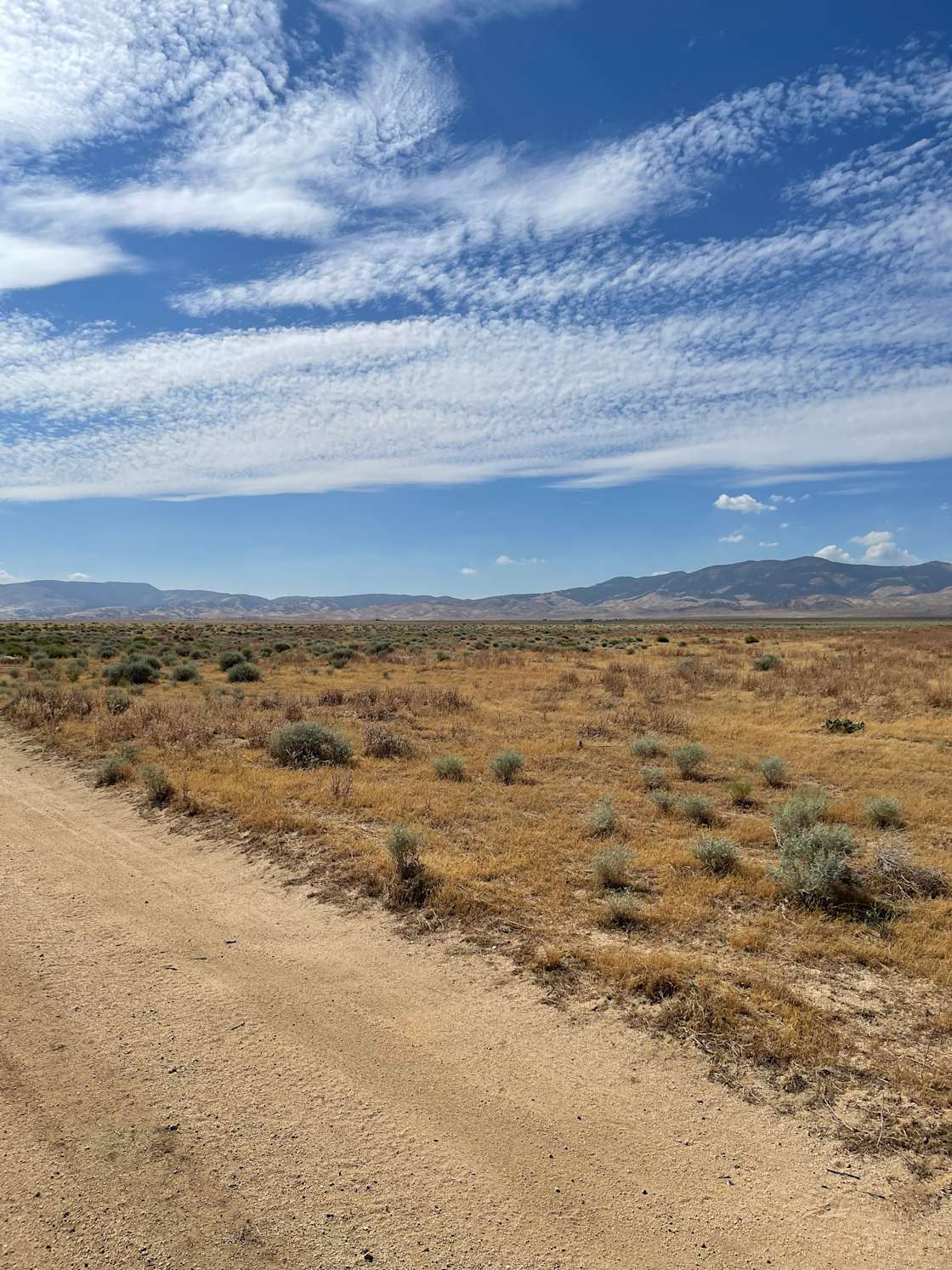 Peaceful getaway Hipcamp in Lake Hughes, California