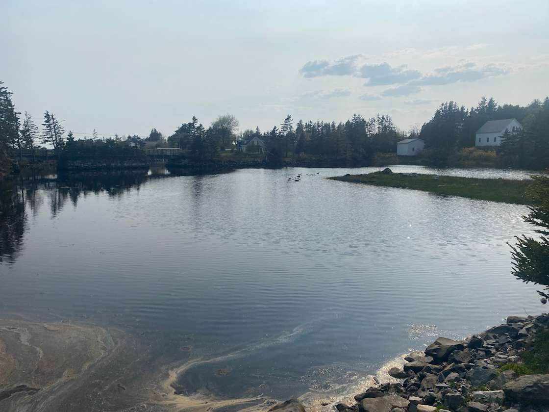 cliff high harbour view of east riv Hipcamp in New Glasgow, Nova Scotia