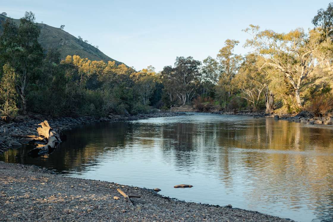Riverview on the Murrumbidgee Hipcamp in Bookham, New South Wales