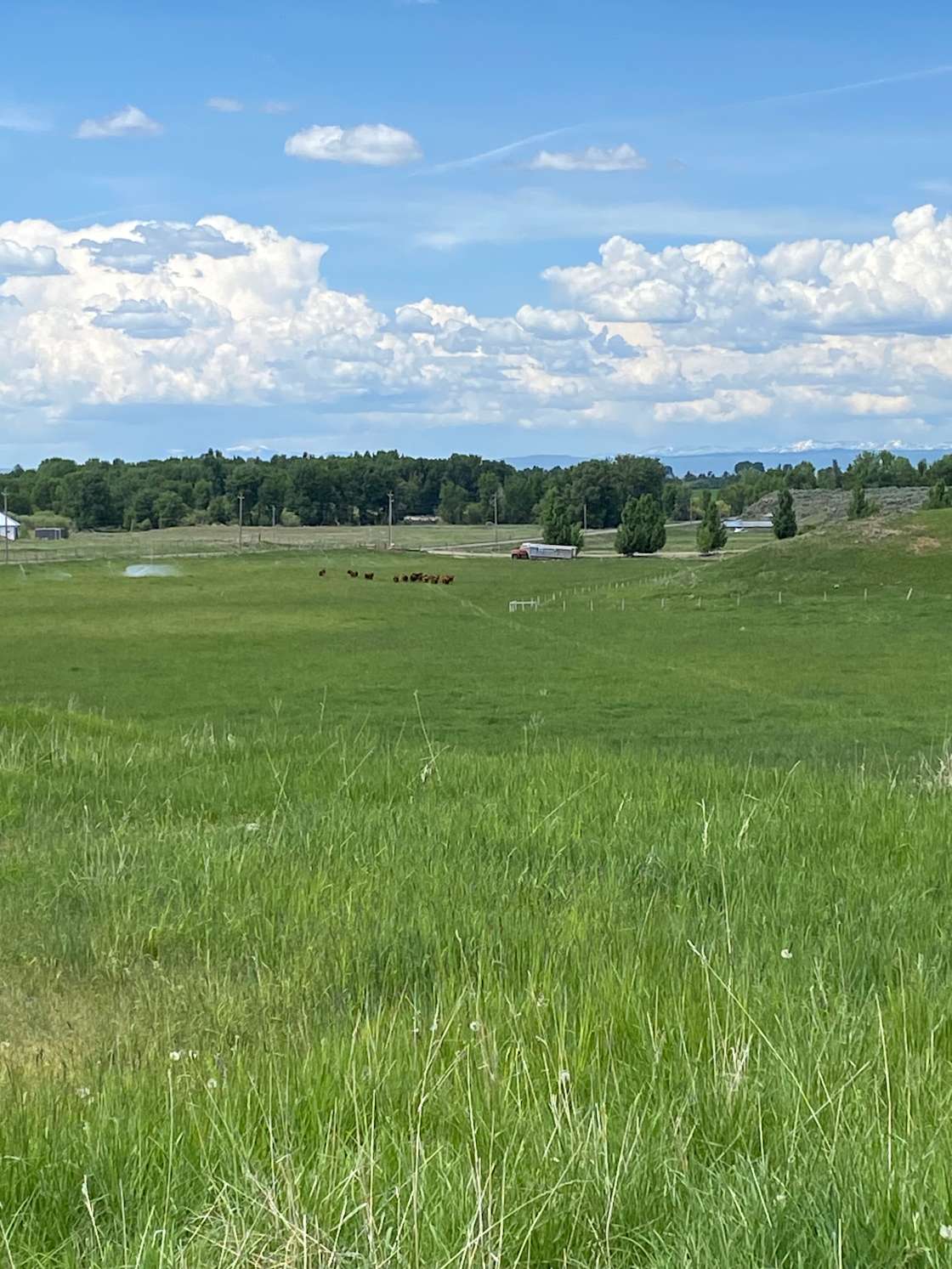Roots and Grow Farm Hipcamp in Newdale, Idaho