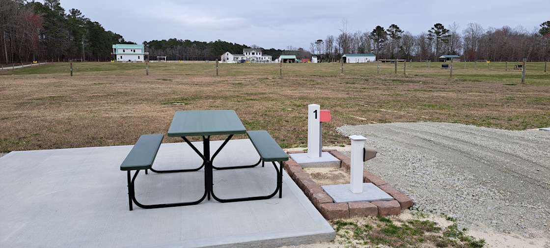 Campsite at Wallace Meadows Farm Hipcamp in Trenton, North Carolina