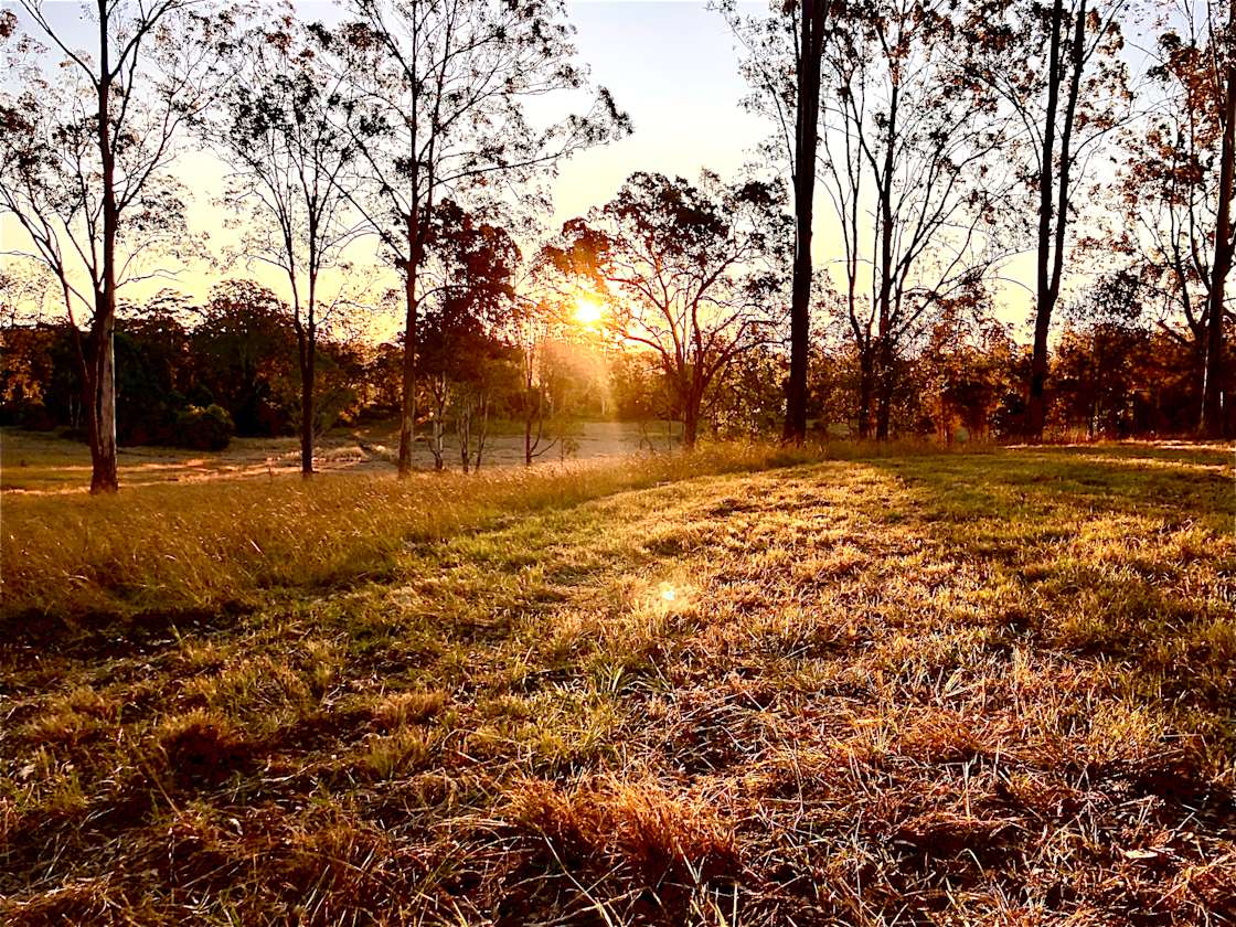 Horizon Oasis Hipcamp In Coutts Crossing New South Wales 1786