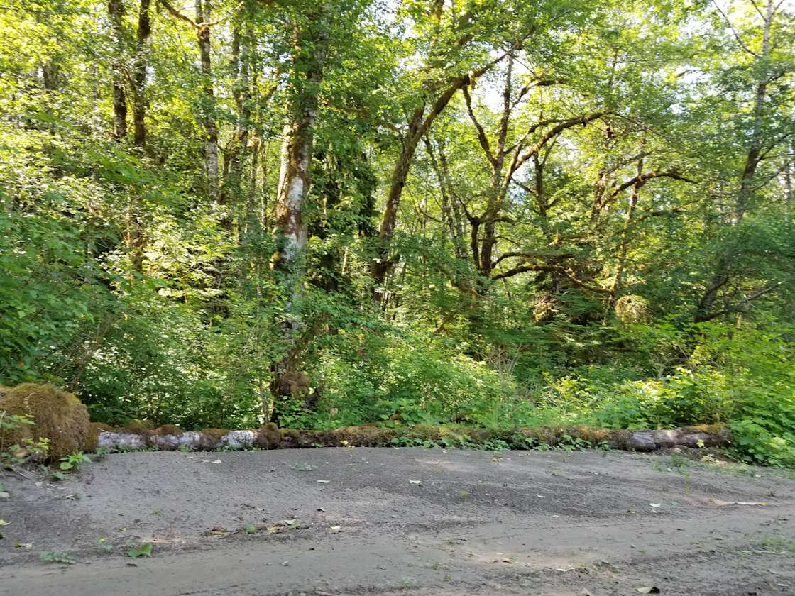 Bogie River Campsites Hipcamp in Forks, Washington