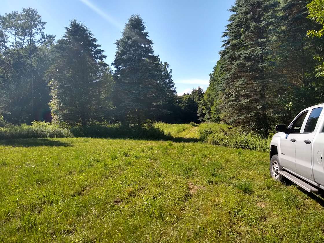 West Canada Creek Farm Hipcamp in Barneveld, New York