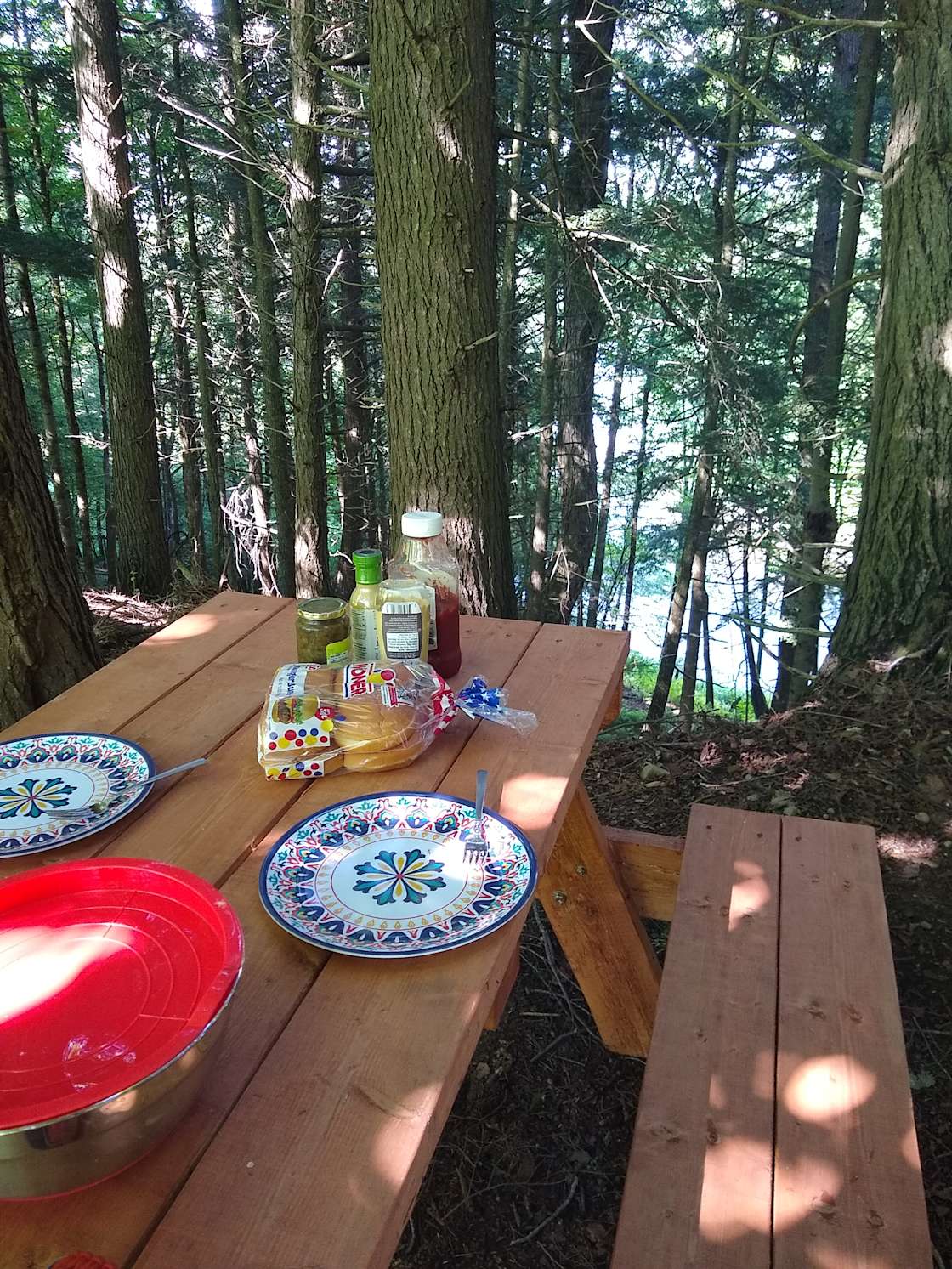 West Canada Creek Farm Hipcamp in Barneveld, New York