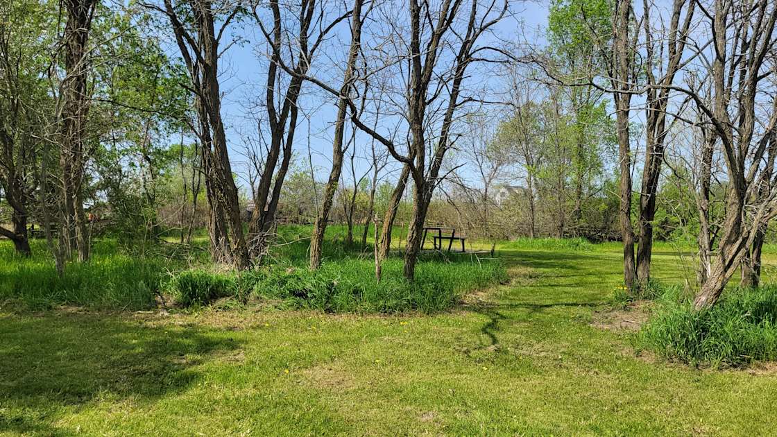 Harrowsmith Brewing Co. Hipcamp in Kingston, Ontario