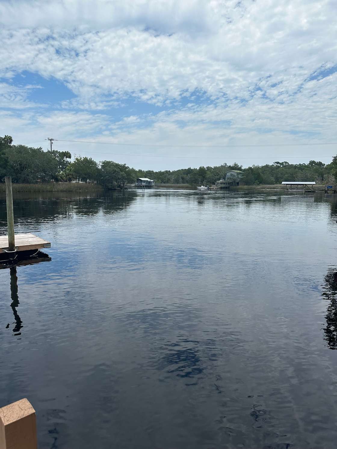 Dockside Campground Hipcamp in Steinhatchee, Florida