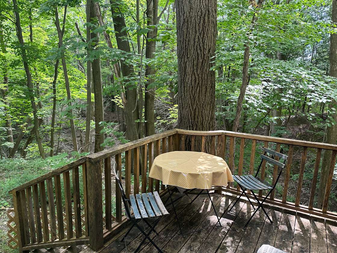 Haven in the trees Hipcamp in Burdett, New York