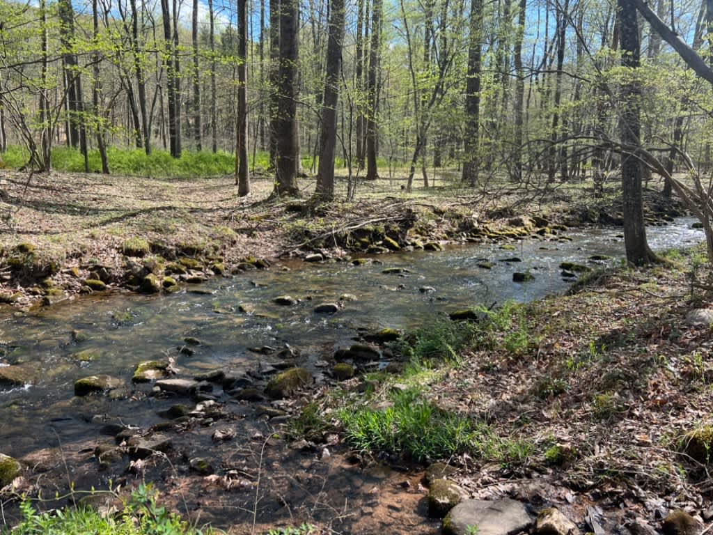 Free Spirit Campground - Hipcamp in Landisburg, Pennsylvania