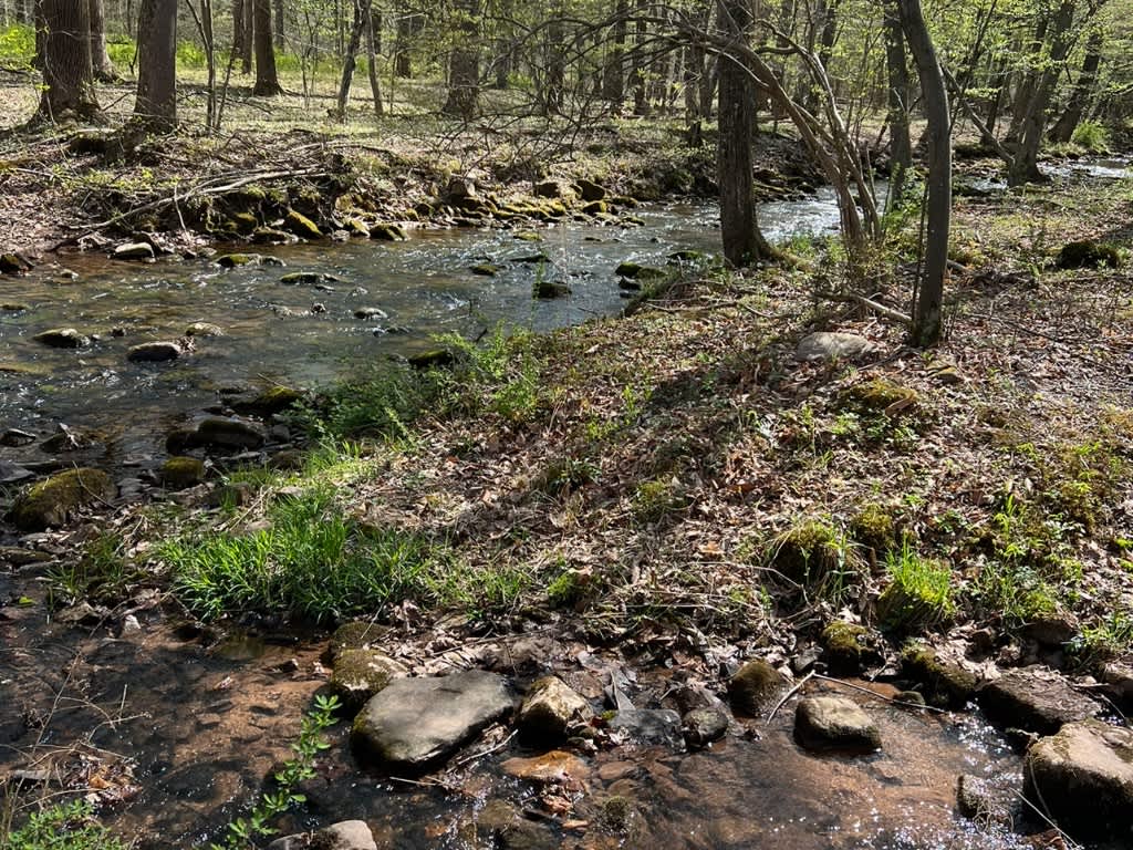 Free Spirit Campground - Hipcamp in Landisburg, Pennsylvania