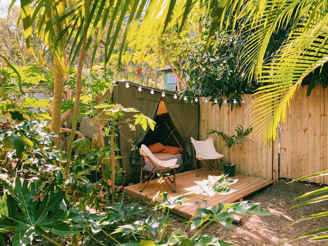 Maggie Corner Farm Hipcamp in Nelly Bay, Queensland