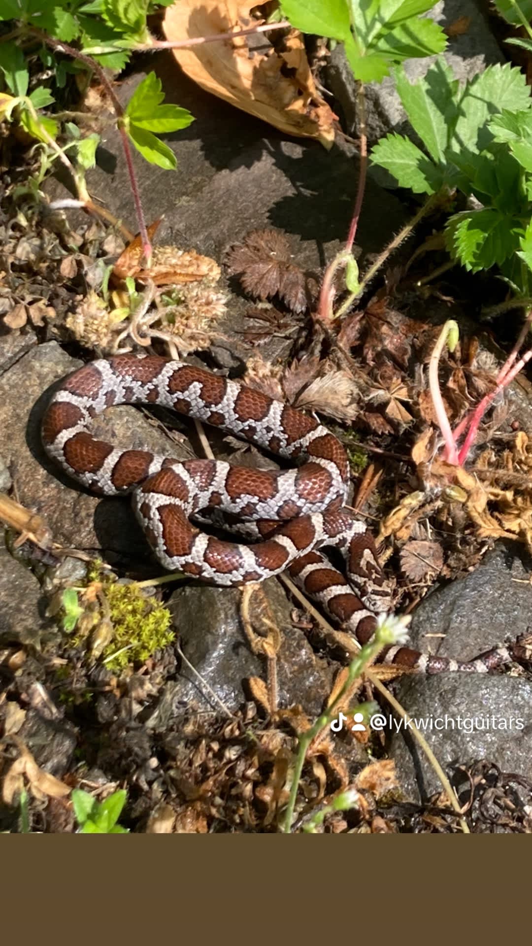 BalancedBeings Hipcamp in Rome, Pennsylvania