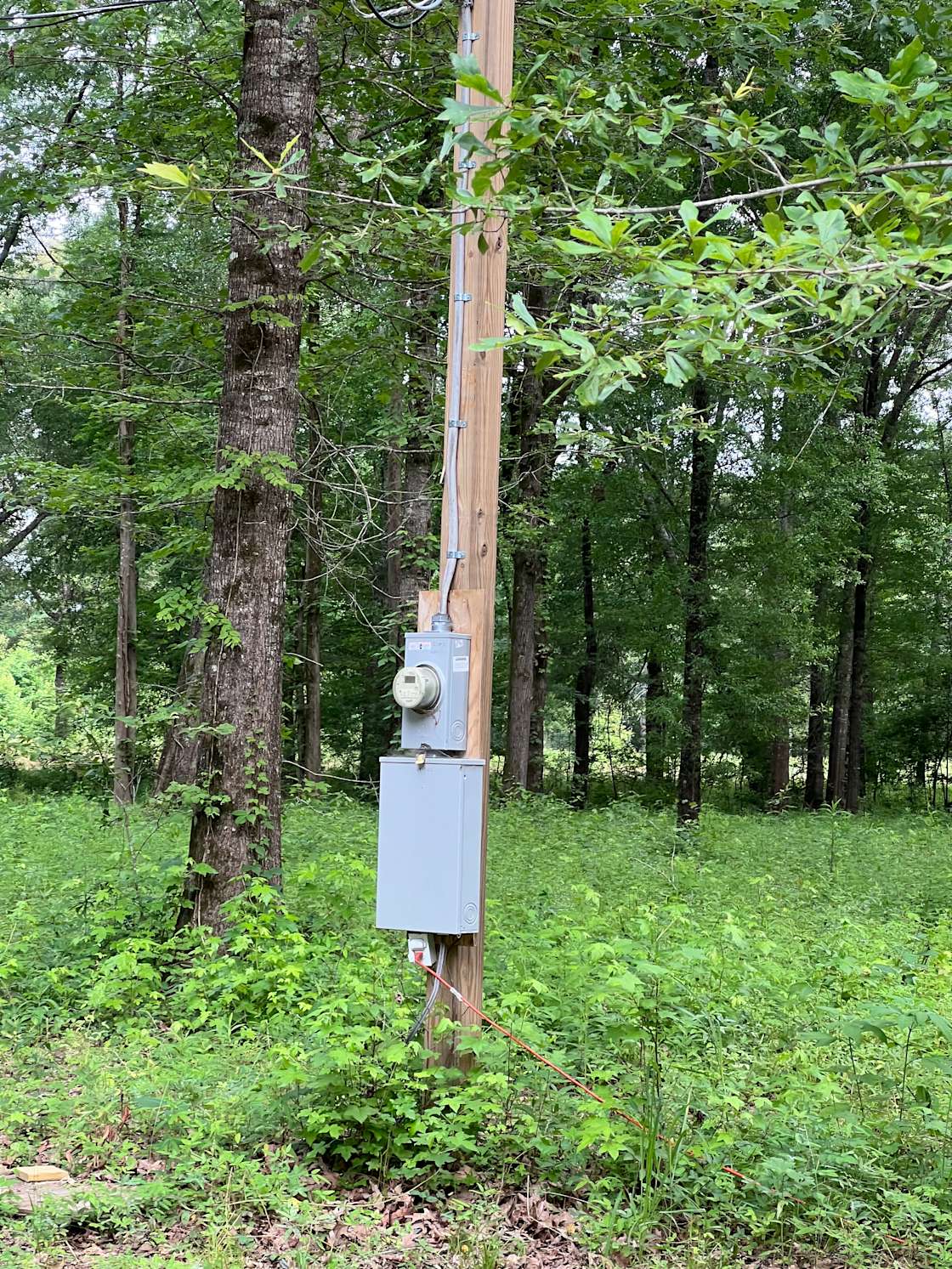 Forkland Nature Camp Hipcamp in Forkland, Alabama