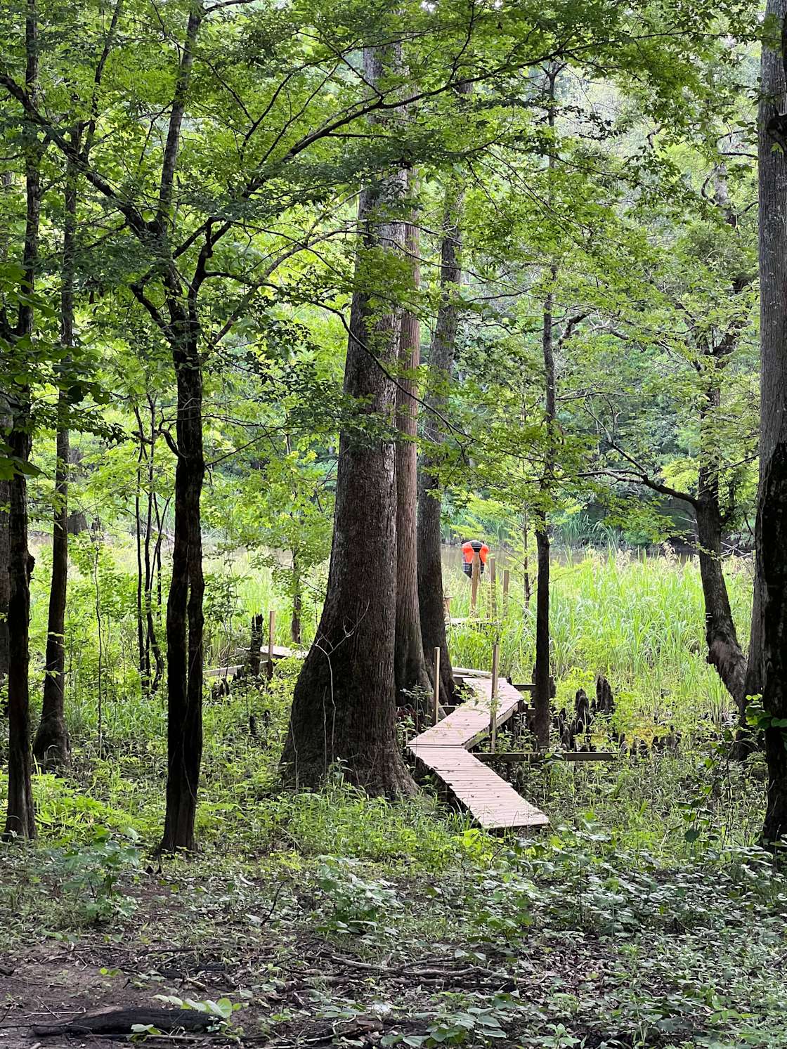 Forkland Nature Camp Hipcamp in Forkland, Alabama