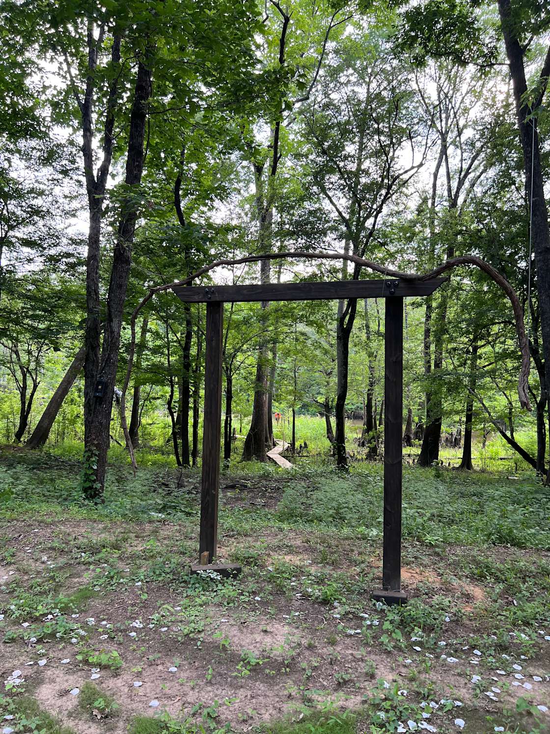 Forkland Nature Camp Hipcamp in Forkland, Alabama