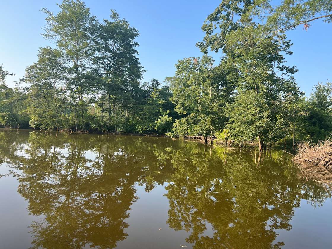 Forkland Nature Camp Hipcamp in Forkland, Alabama