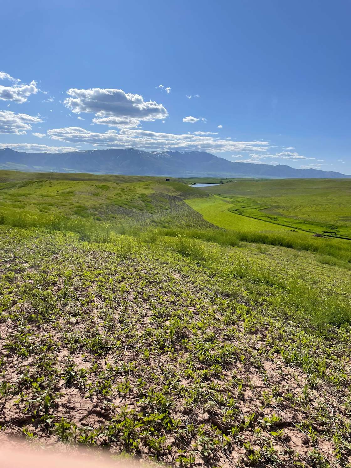 Strong Arm Farm Hipcamp in Clifton, Idaho