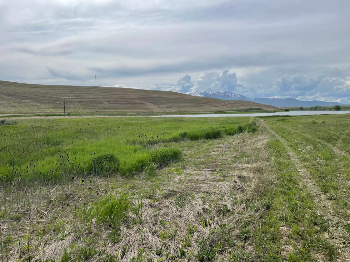 Strong Arm Farm Hipcamp in Clifton, Idaho
