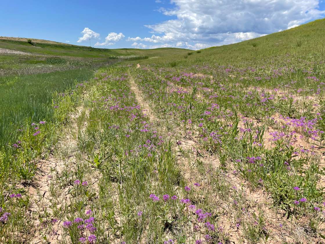 Strong Arm Farm Hipcamp in Clifton, Idaho