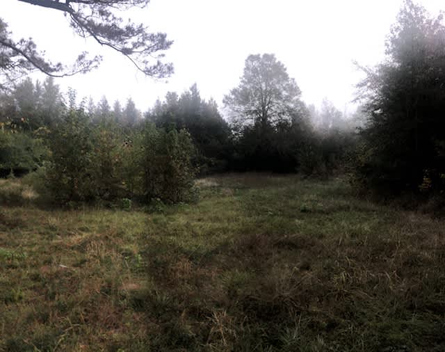 Major Stafford Estate 1886 Hipcamp in Castor, Louisiana