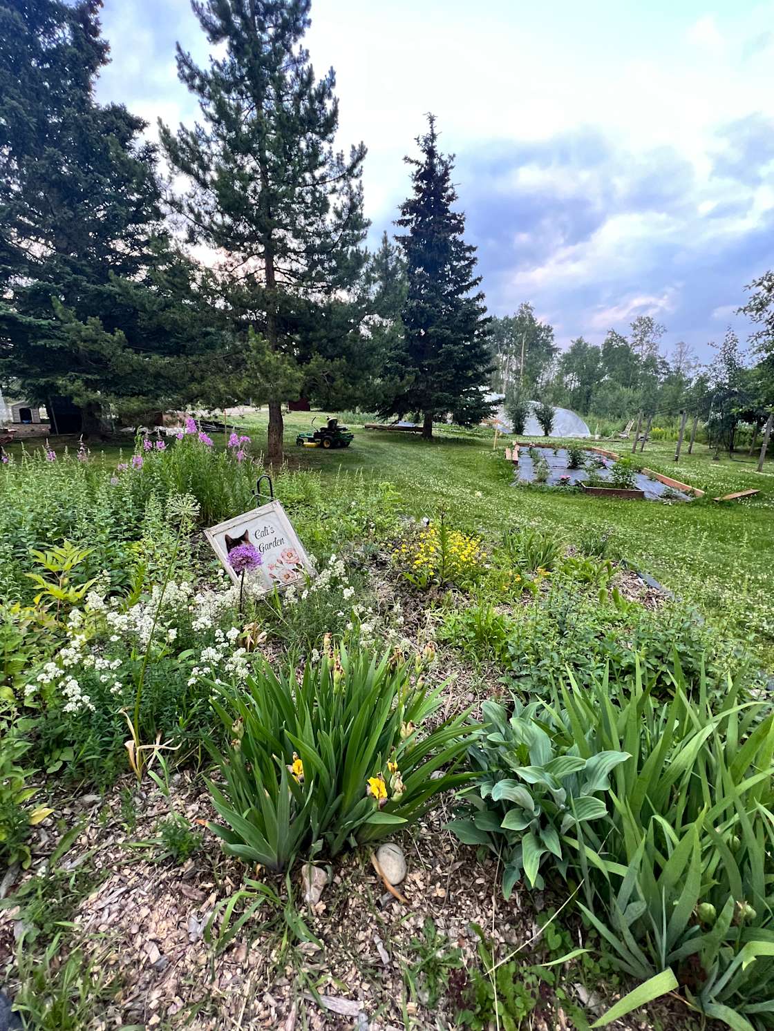 Boreal Forest Gardens and Camping Hipcamp in Charlie Lake, British