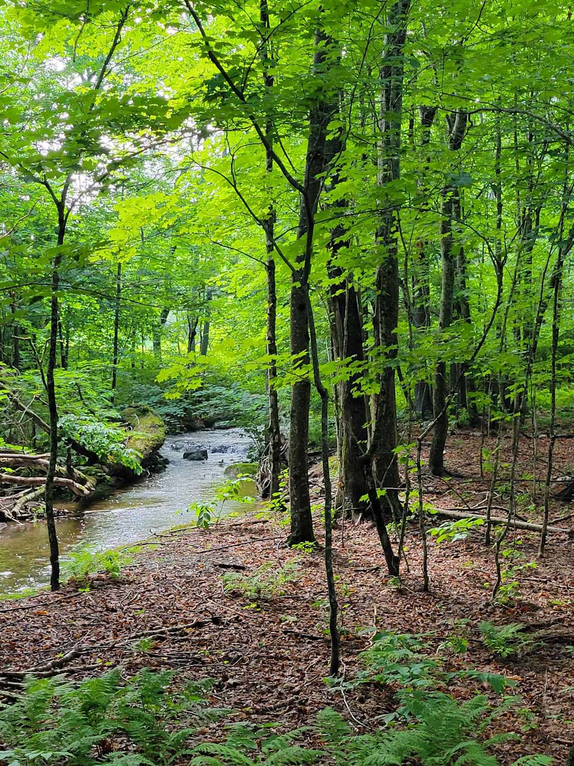 4everland Hipcamp in Dexter, Maine