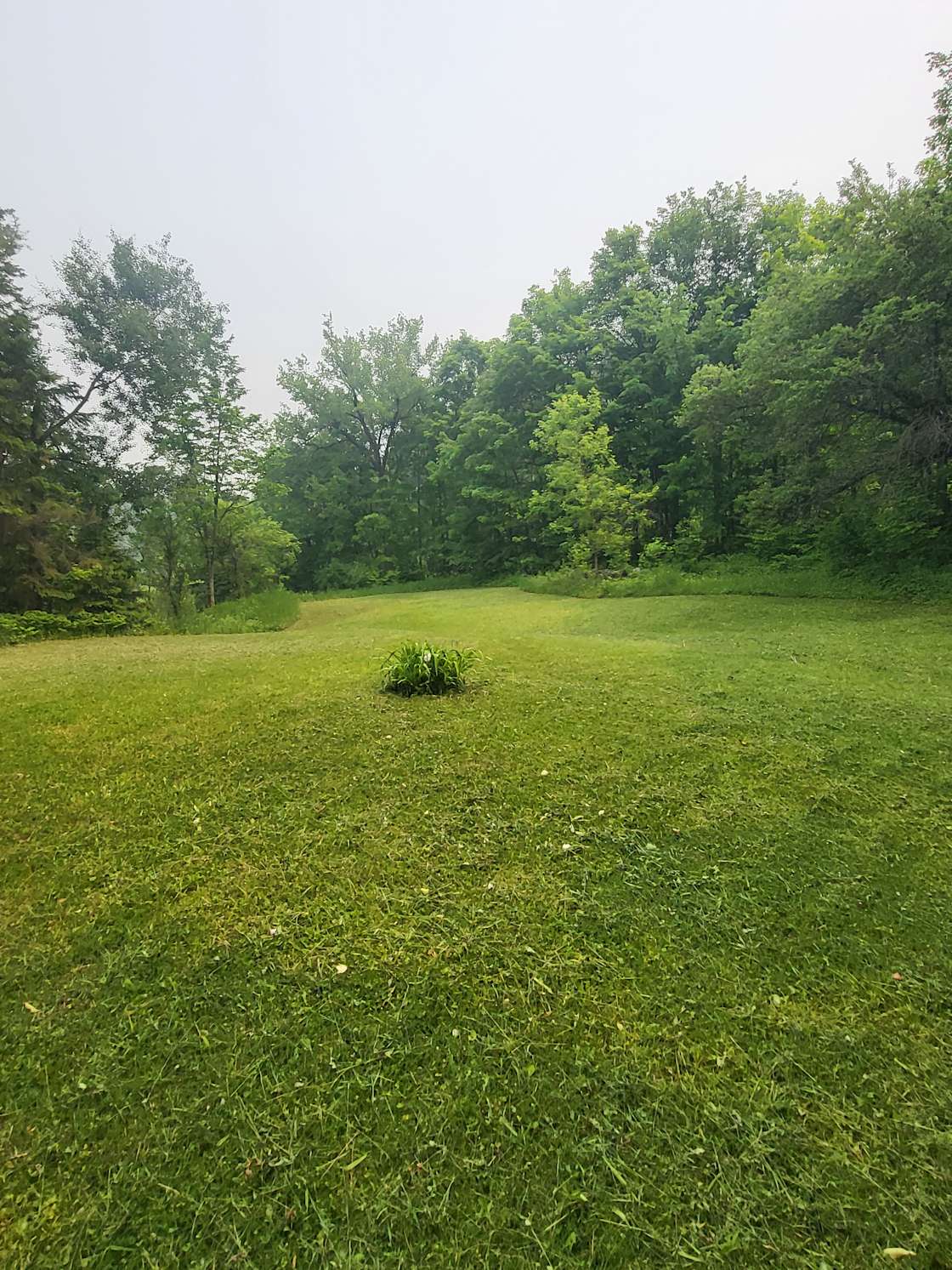 Farrellton Meads Hipcamp in Farrellton, Quebec