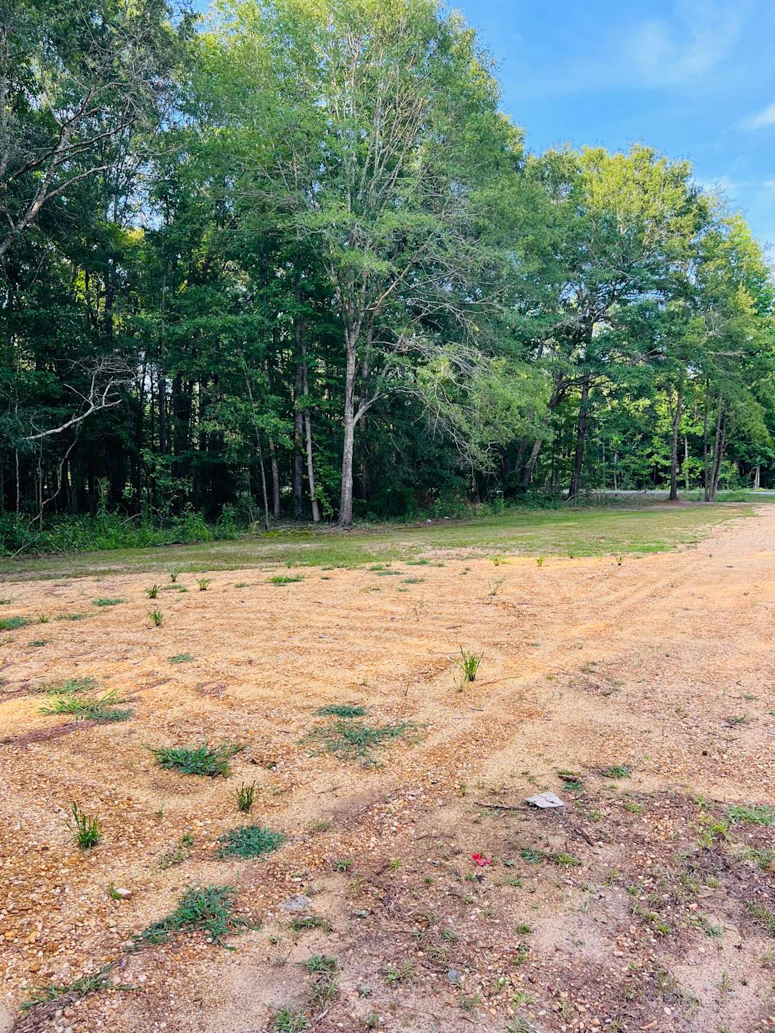 Country Peace RV/Camper lot Hipcamp in Lapine, Alabama