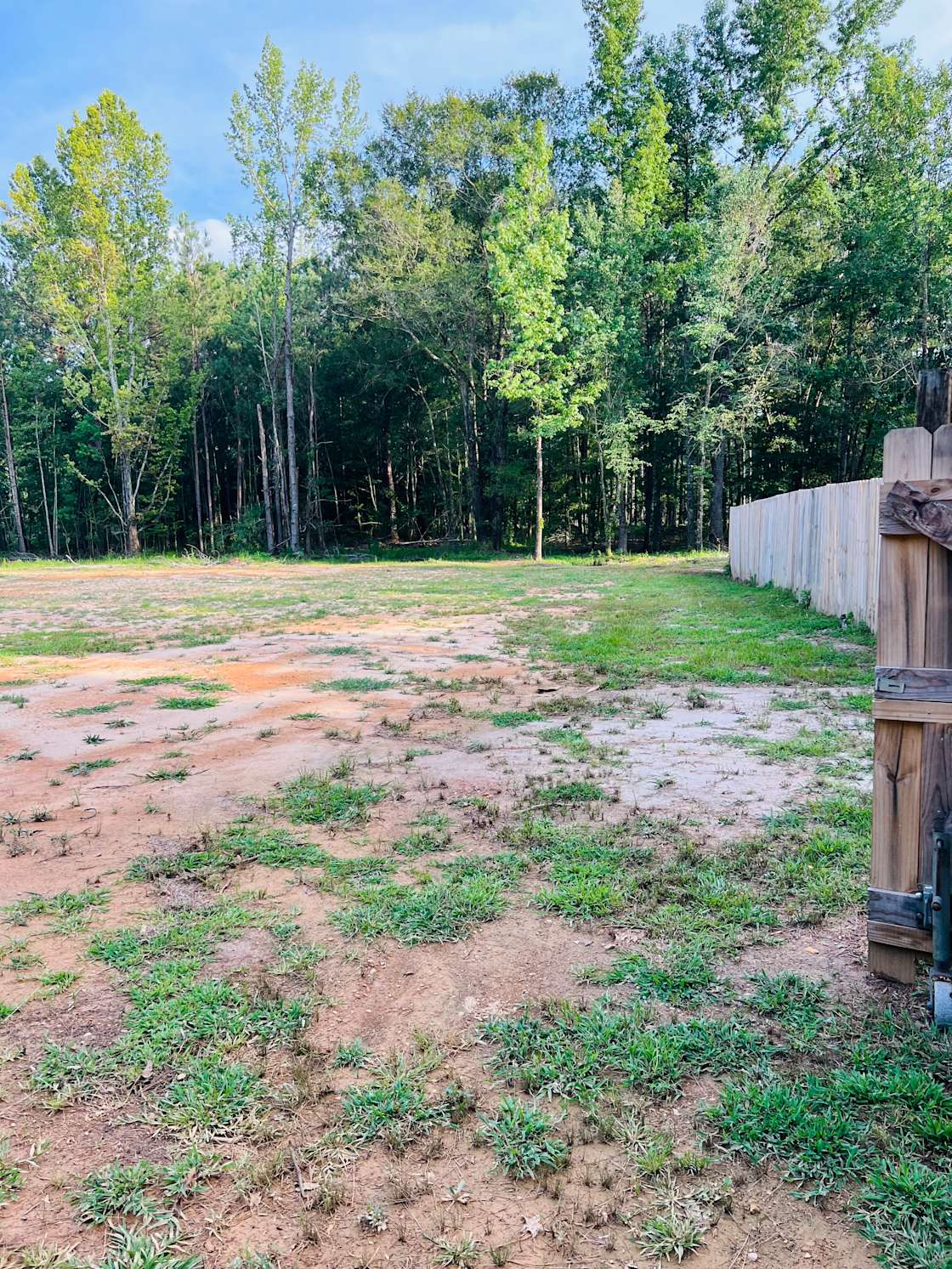 Country Peace RV/Camper lot Hipcamp in Lapine, Alabama