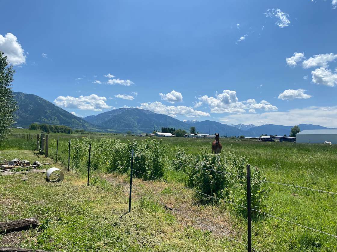 Starr Ranch - Hipcamp in Thayne, Wyoming