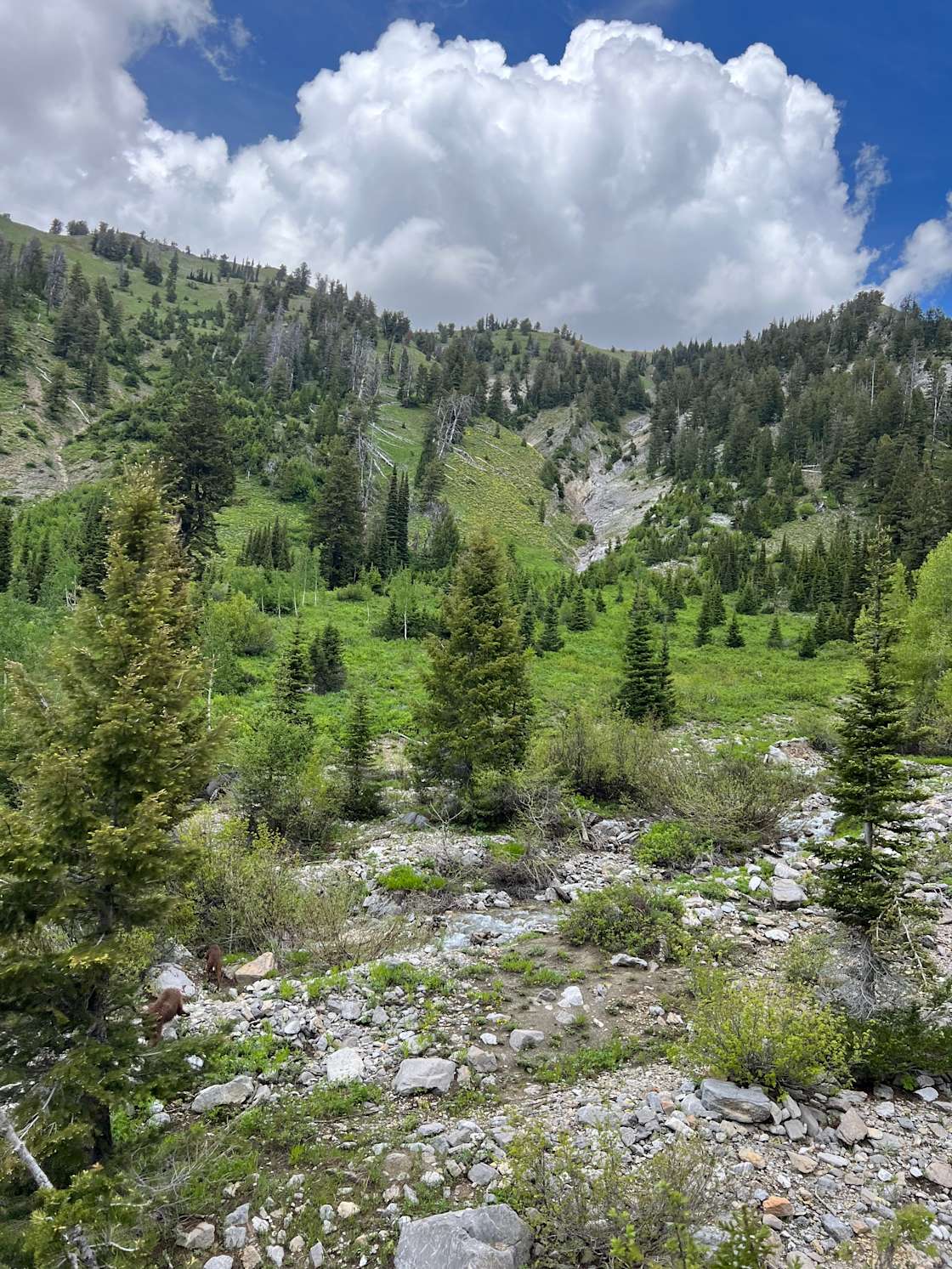 Starr Ranch Hipcamp in Thayne, Wyoming