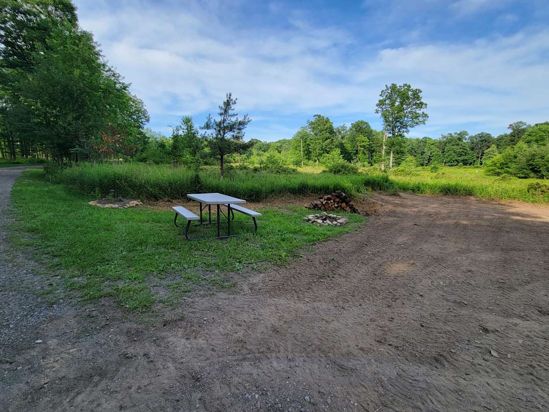 Mountain Springs Wellness Hipcamp in Snow Shoe, Pennsylvania