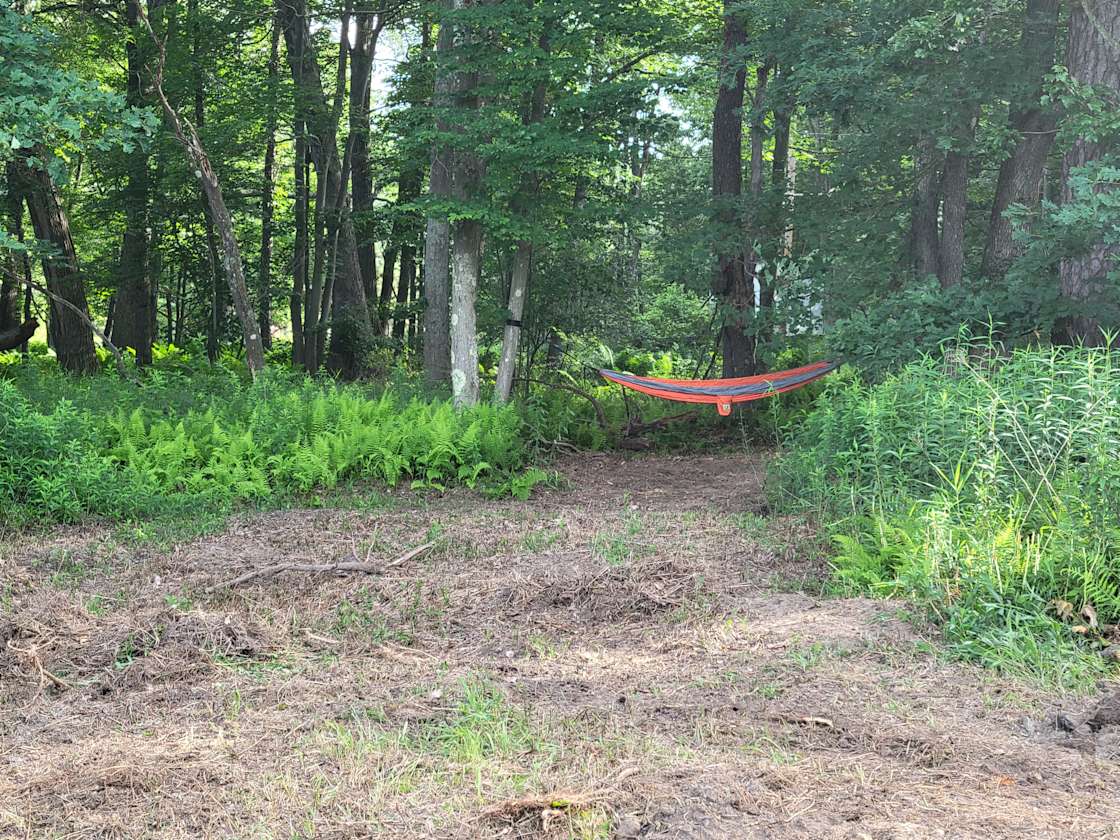 Mountain Springs Wellness Hipcamp in Snow Shoe, Pennsylvania