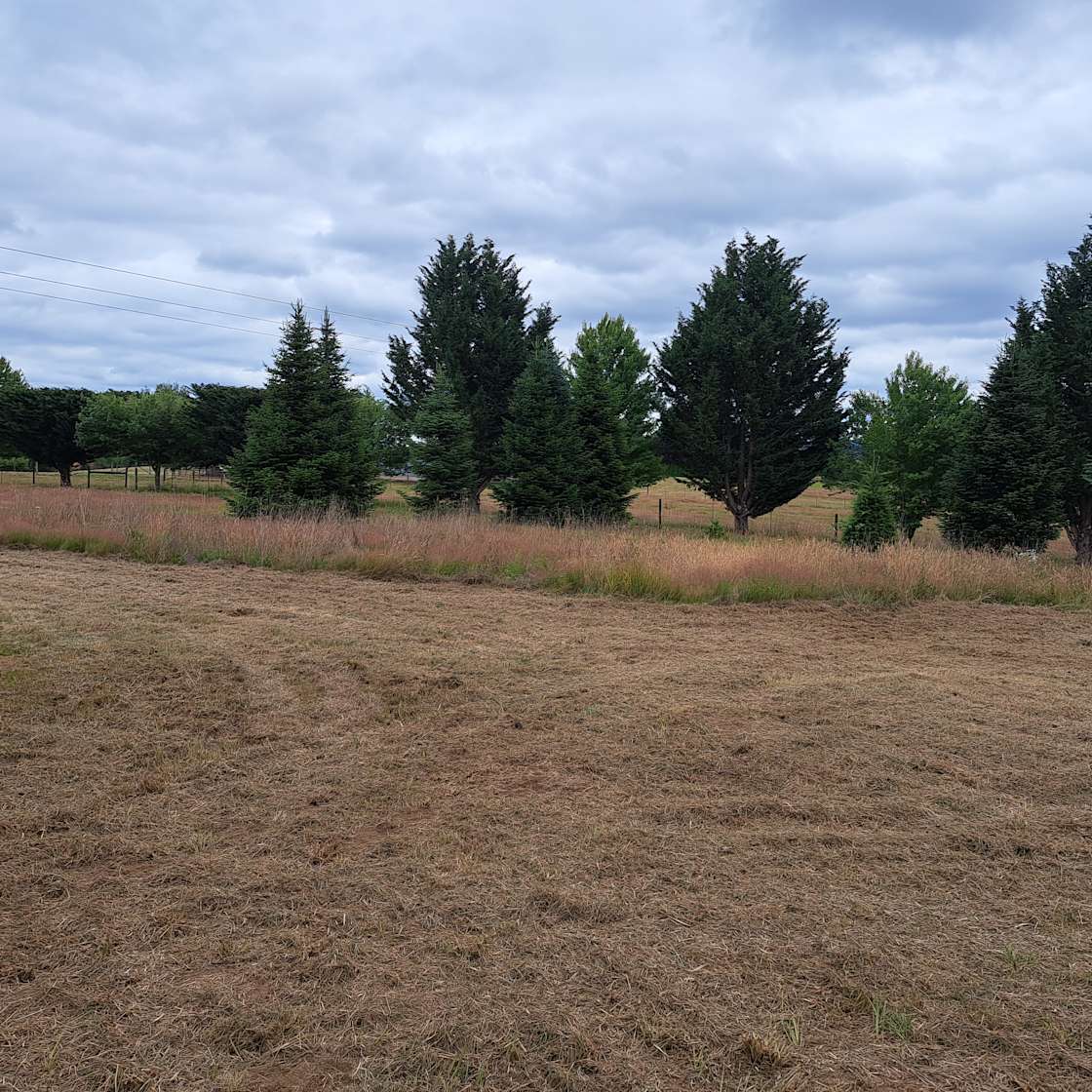 The Old Tree Farm Hipcamp in Mossyrock, Washington