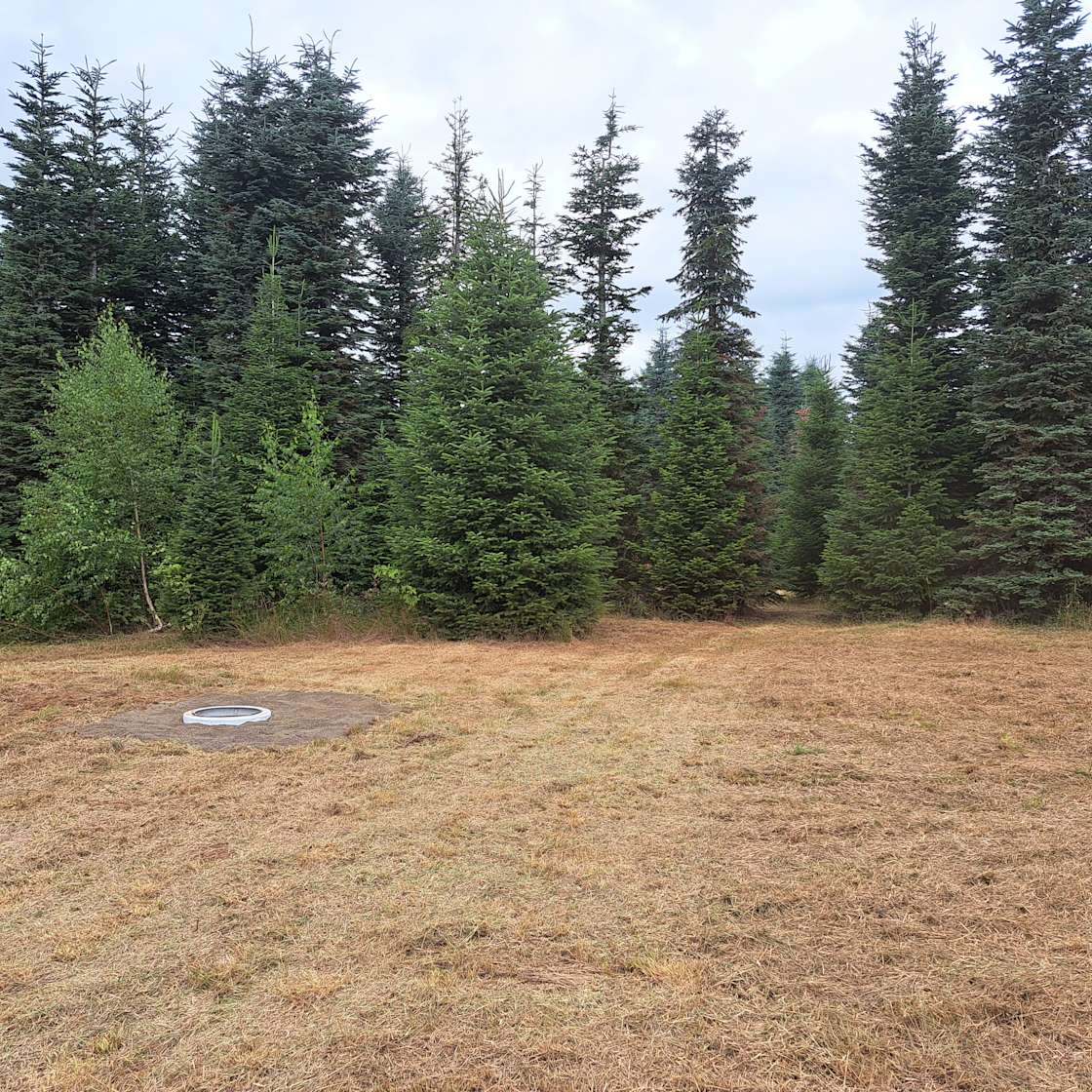 The Old Tree Farm Hipcamp in Mossyrock, Washington
